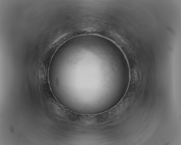 X0000115801158200911131353