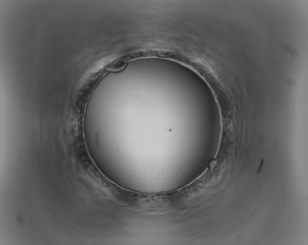 X0000115801159200911131353