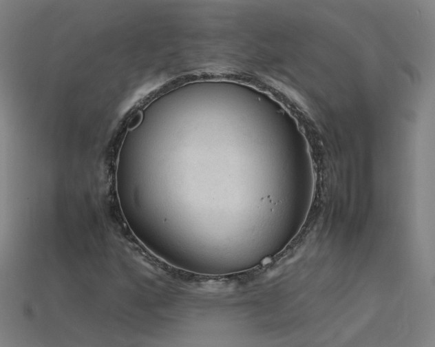 X0000115801160200911131353