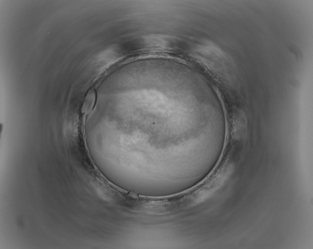 X0000115801161200911131353
