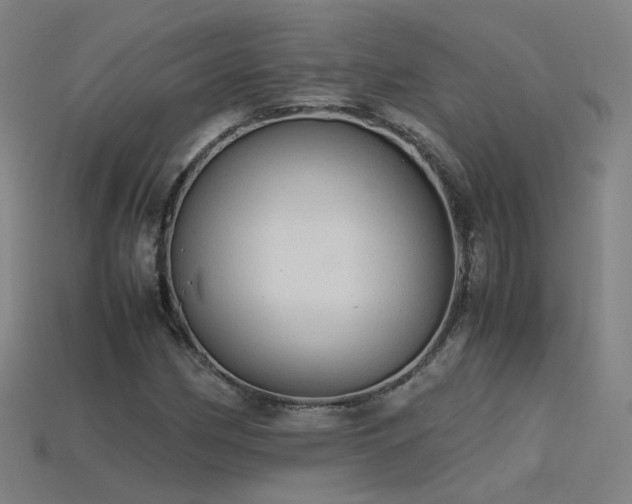 X0000115801162200911131353