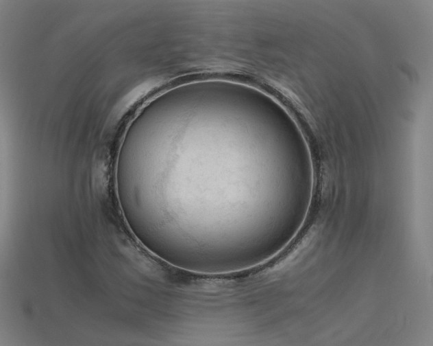 X0000115801163200911131353