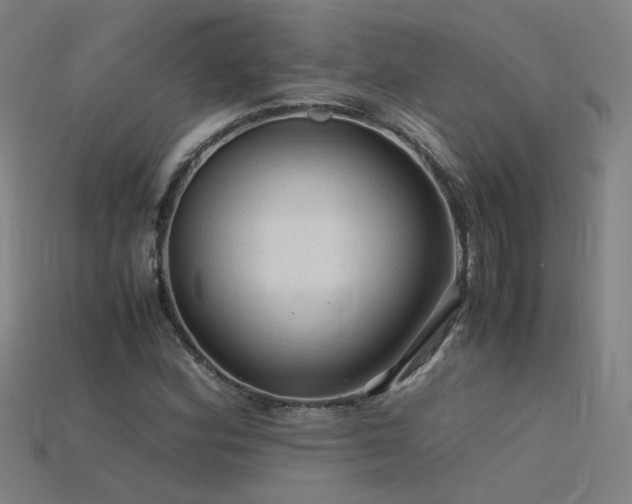 X0000115801164200911131353