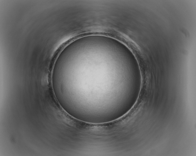 X0000115801166200911131353