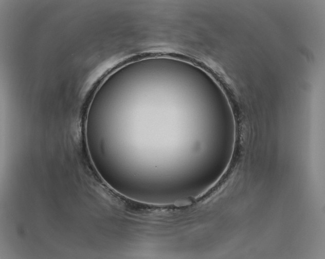 X0000115801167200911131353