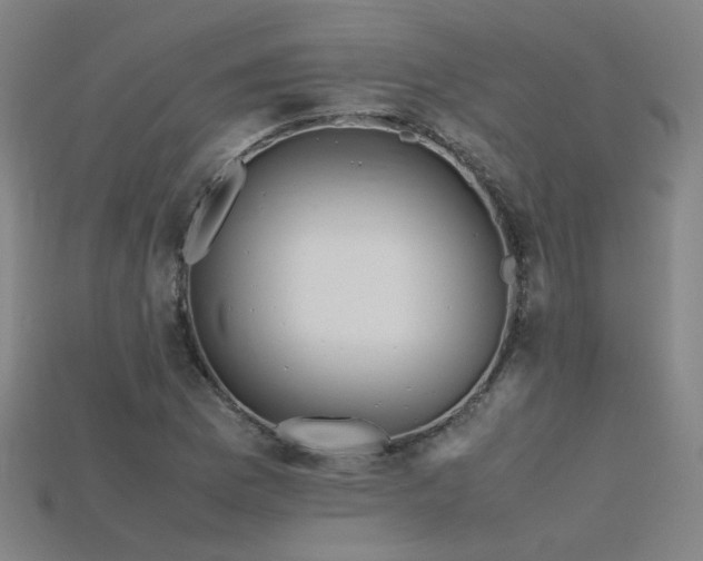 X0000115801169200911131353