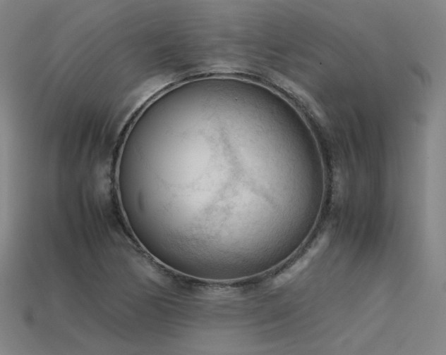 X0000115801170200911131353