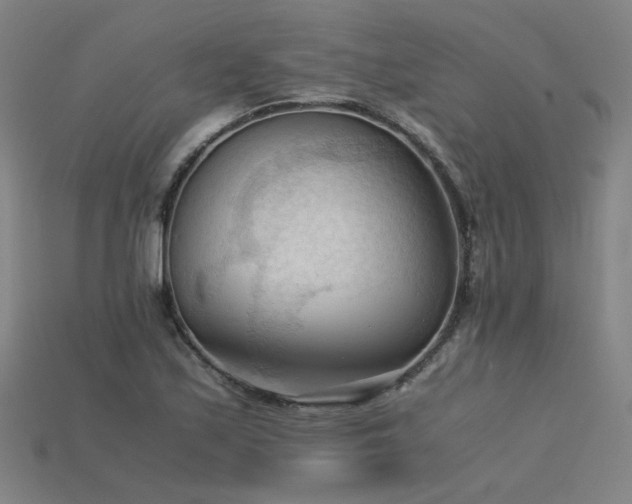 X0000115801171200911131353