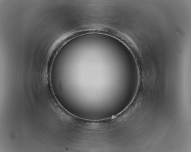 X0000115801172200911131353