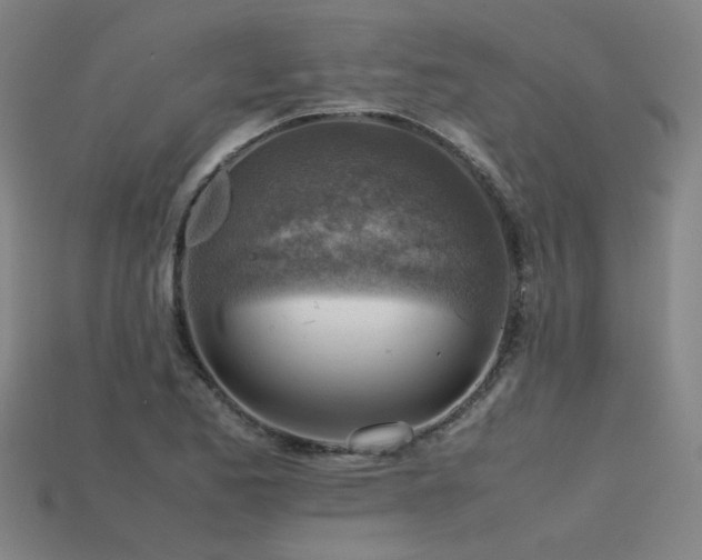 X0000115801173200911131353