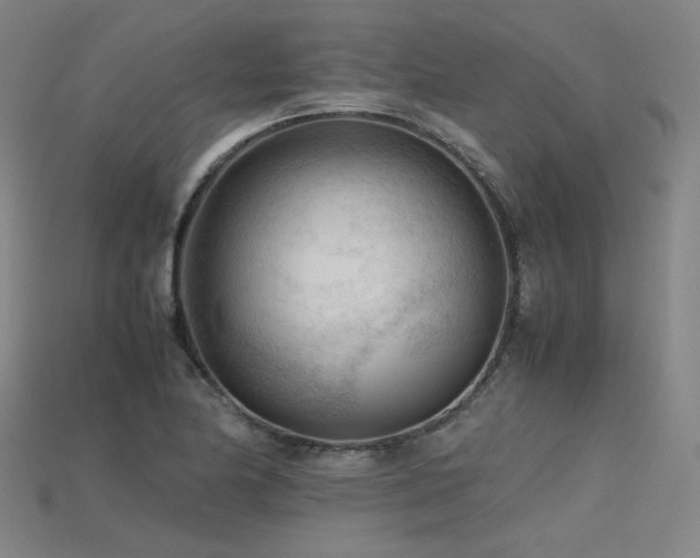 X0000115801174200911131353