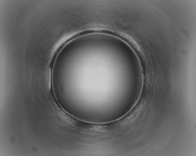 X0000115801175200911131353