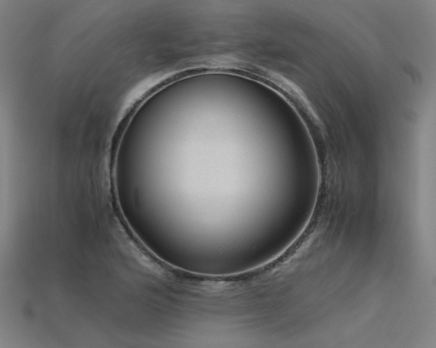 X0000115801176200911131353