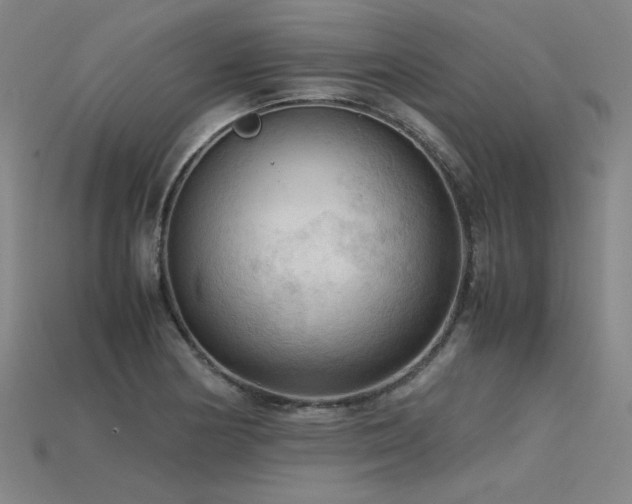 X0000115801178200911131353