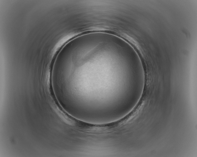 X0000115801179200911131353