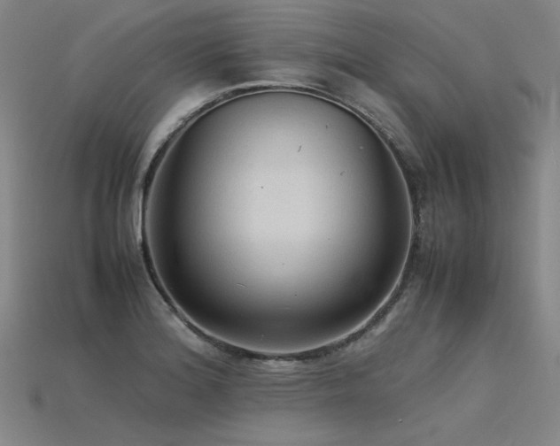 X0000115801180200911131353