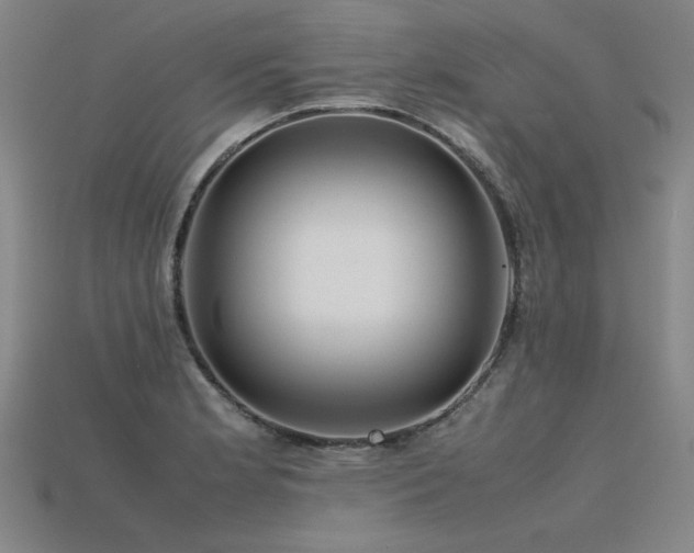 X0000115801181200911131353