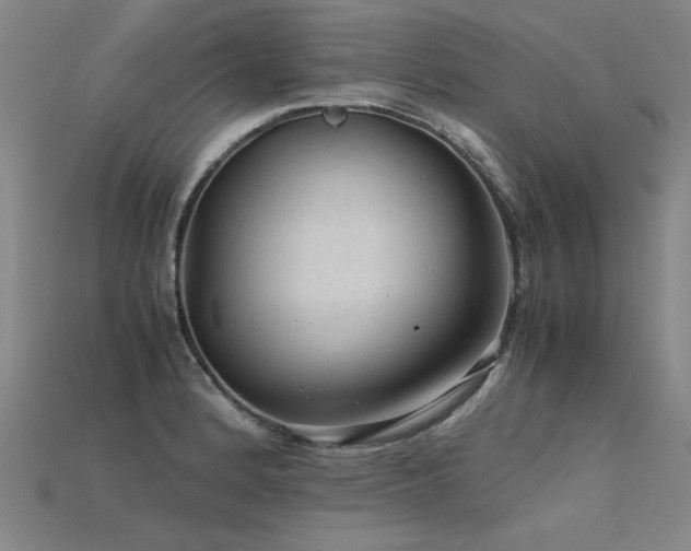 X0000115801184200911131353