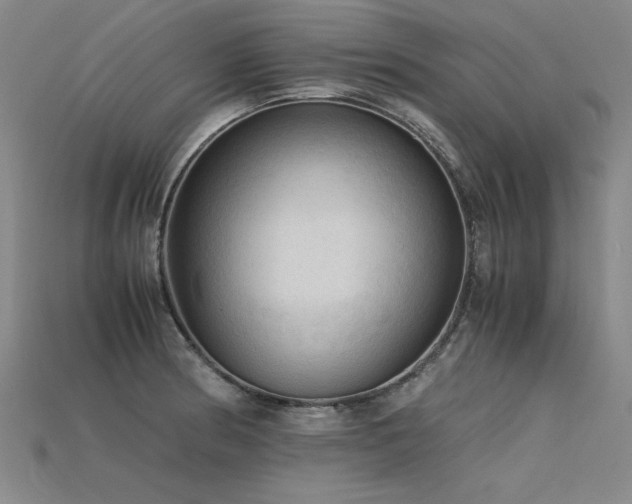 X0000115801186200911131353