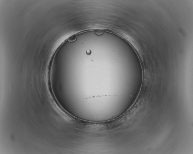 X0000115801187200911131353
