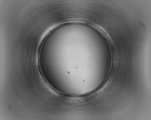 X0000115801188200911131353
