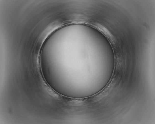 X0000115801190200911131353