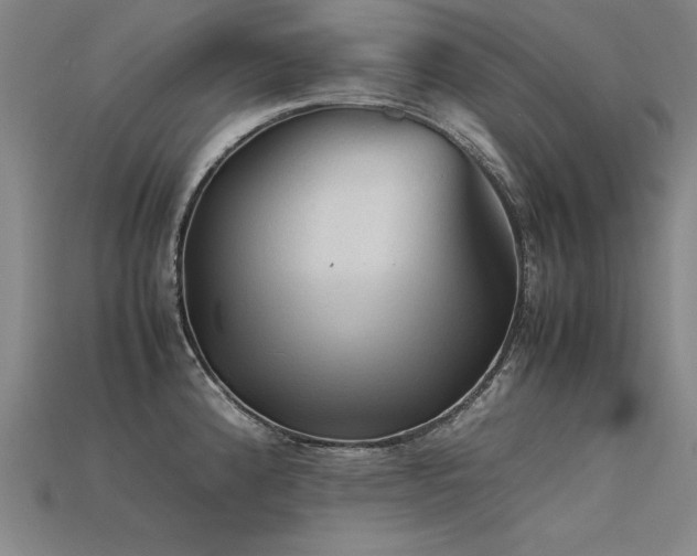 X0000115801192200911131353