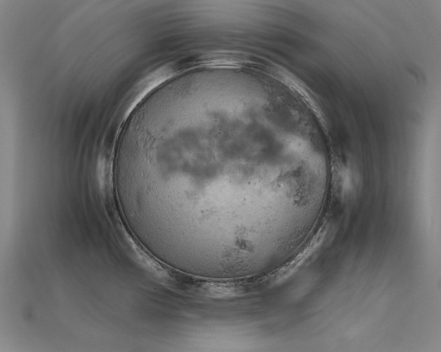 X0000115801194200911131353