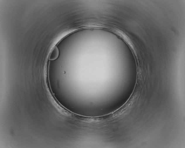 X0000115801195200911131353
