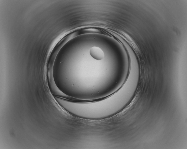 X0000115801196200911131352