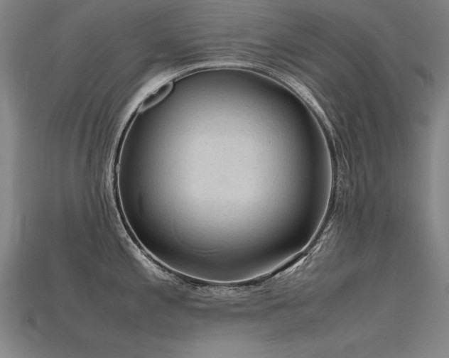 X0000115801197200911131352