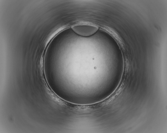 X0000115801198200911131352