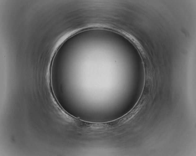 X0000115801199200911131352