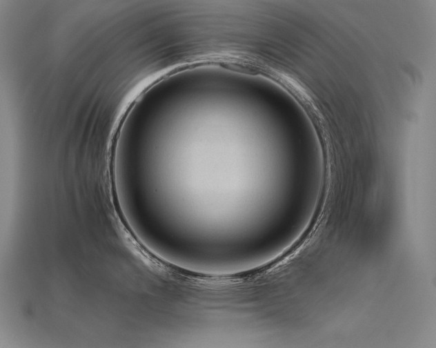 X0000115801200200911131352