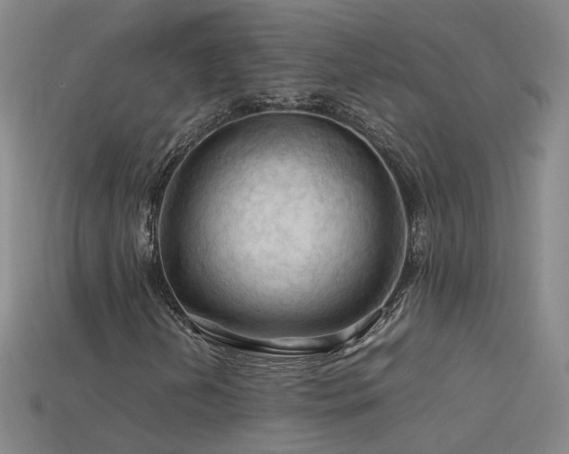 X0000115801202200911131352