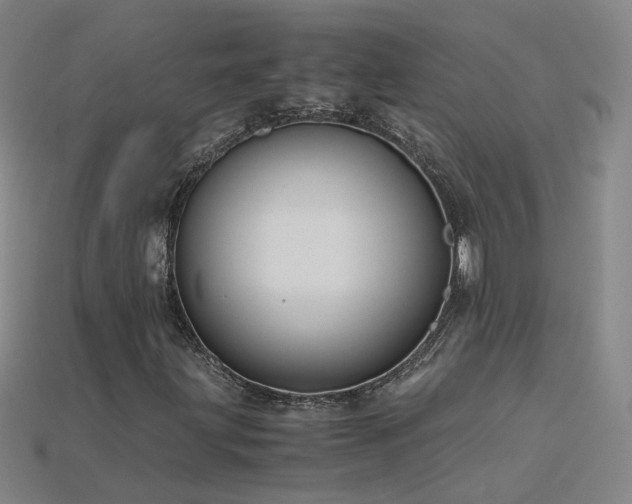 X0000115801203200911131352