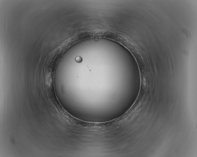 X0000115801204200911131352