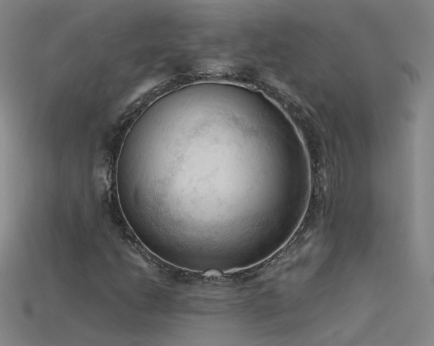X0000115801206200911131352