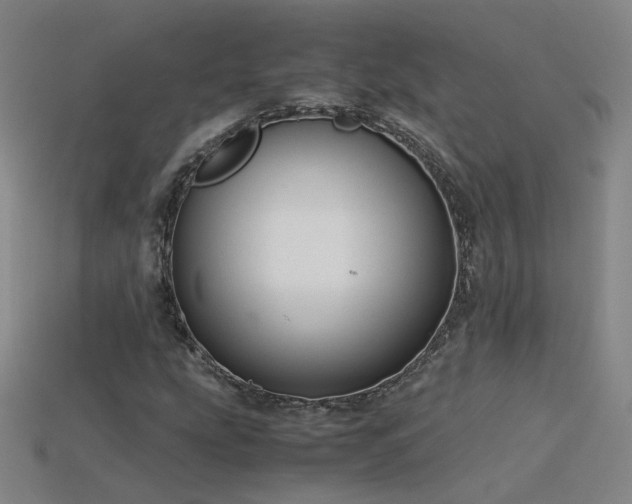X0000115801207200911131352