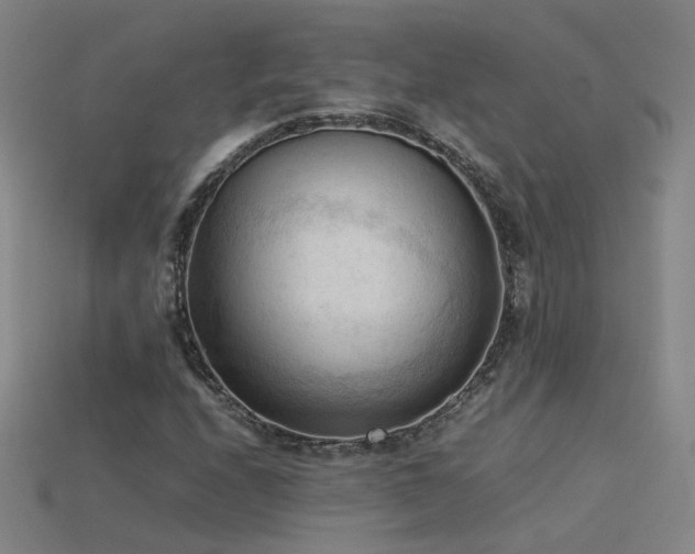 X0000115801208200911131352