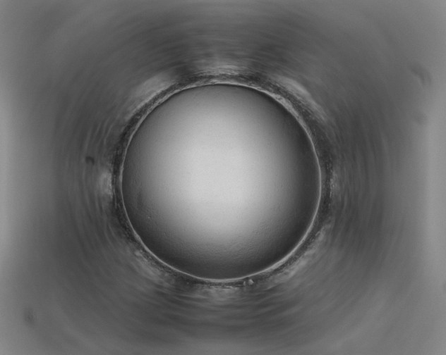 X0000115801209200911131352