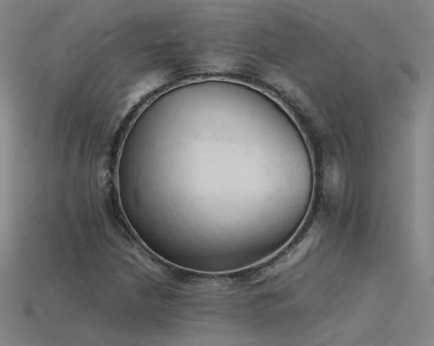 X0000115801210200911131352