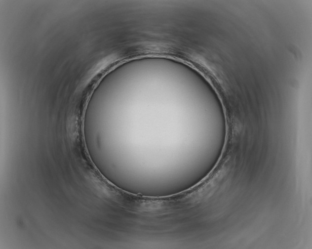 X0000115801211200911131352