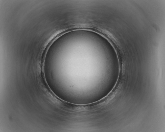 X0000115801212200911131352
