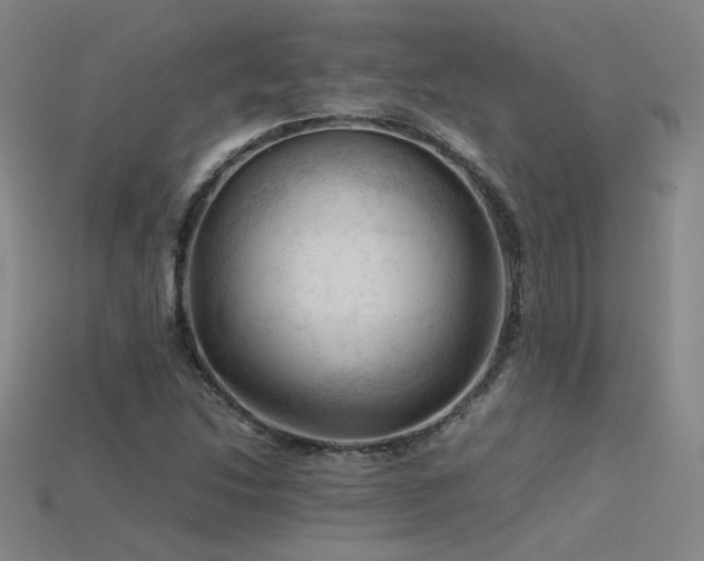 X0000115801214200911131352