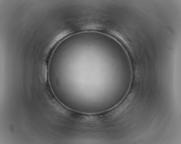 X0000115801219200911131352
