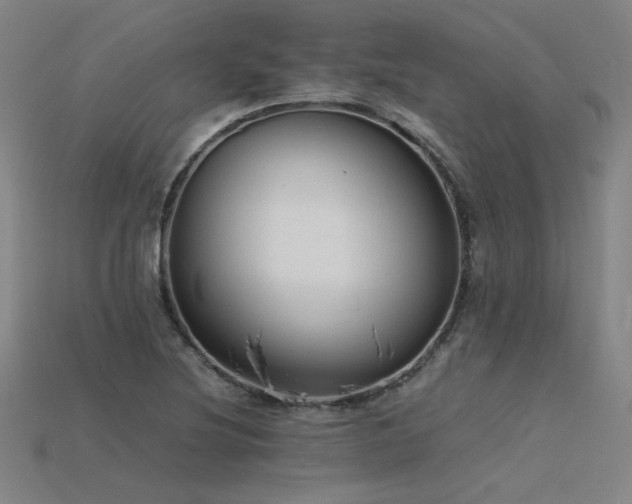 X0000115801220200911131352