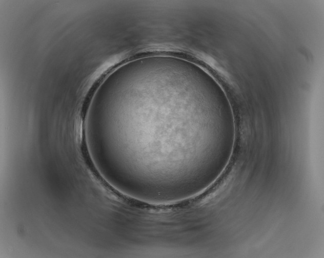 X0000115801221200911131352