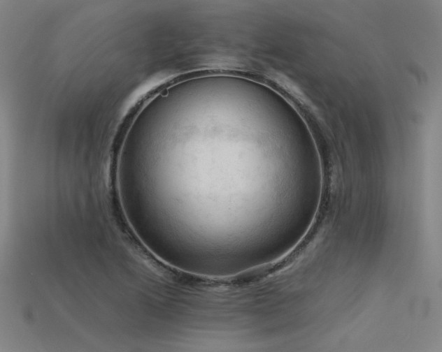 X0000115801222200911131352