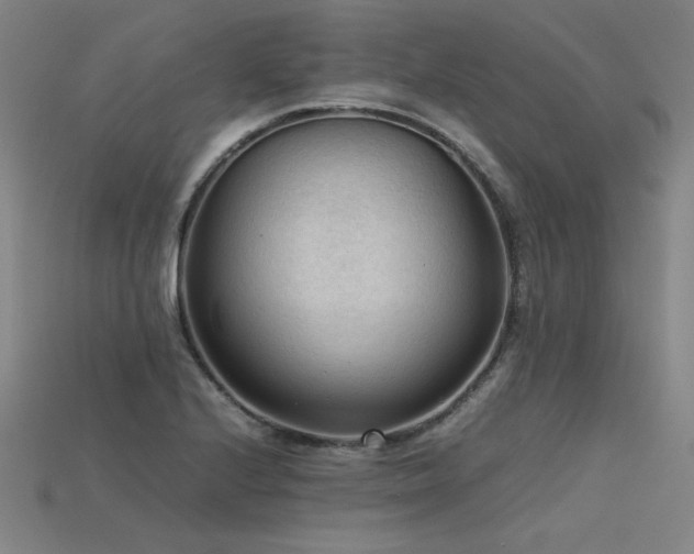 X0000115801224200911131352
